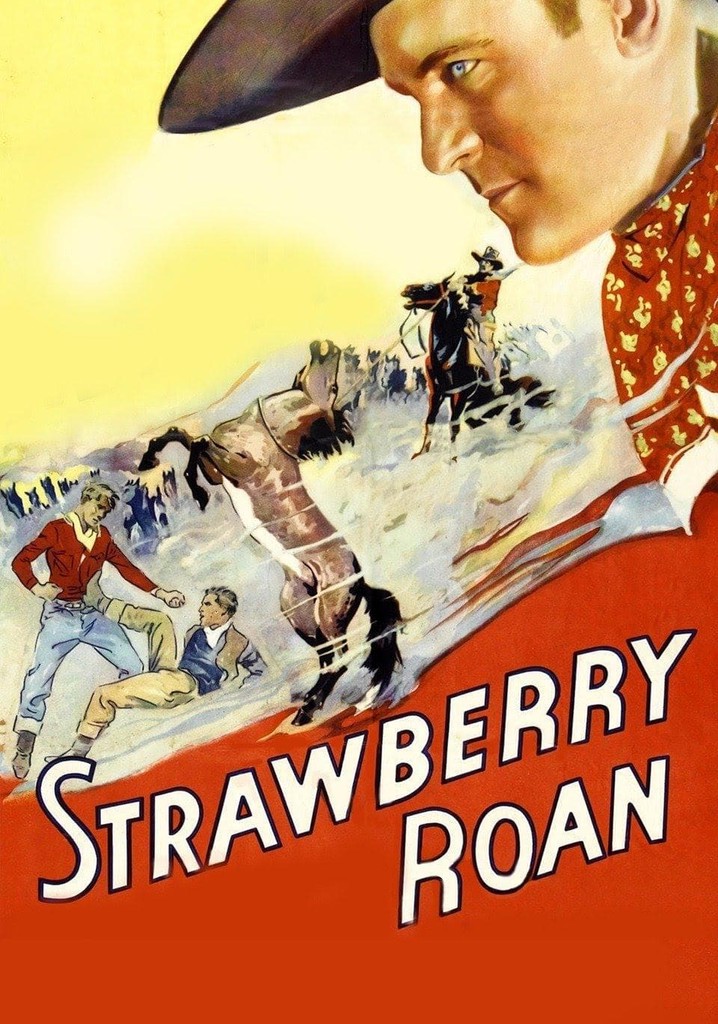 Strawberry Roan poster