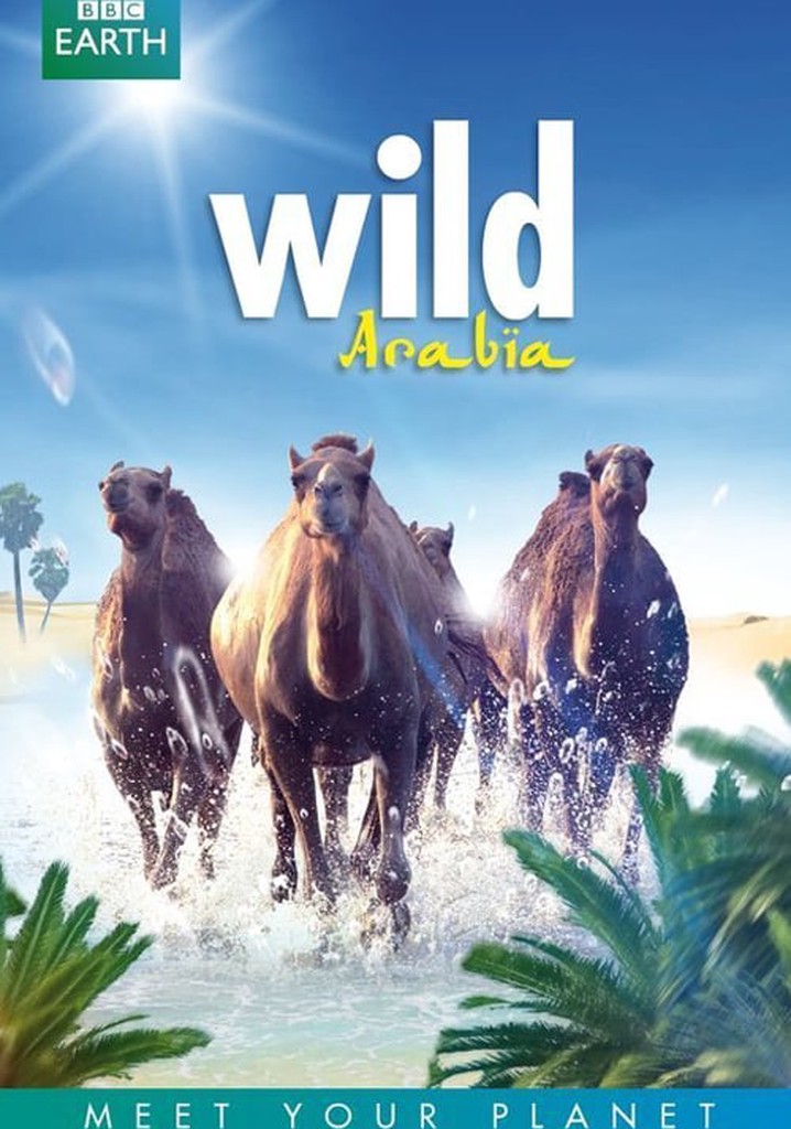 Wild Arabia poster