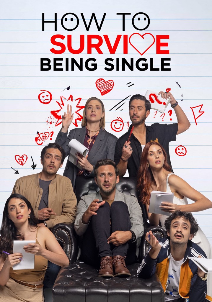 How to Survive Being Single poster