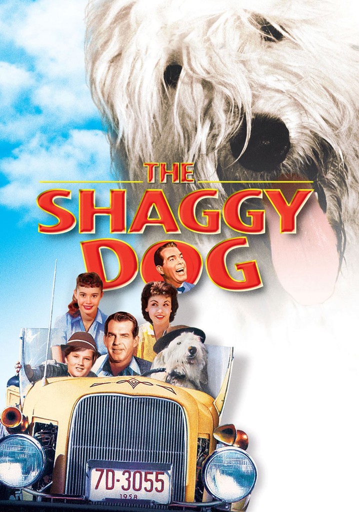 The Shaggy Dog poster