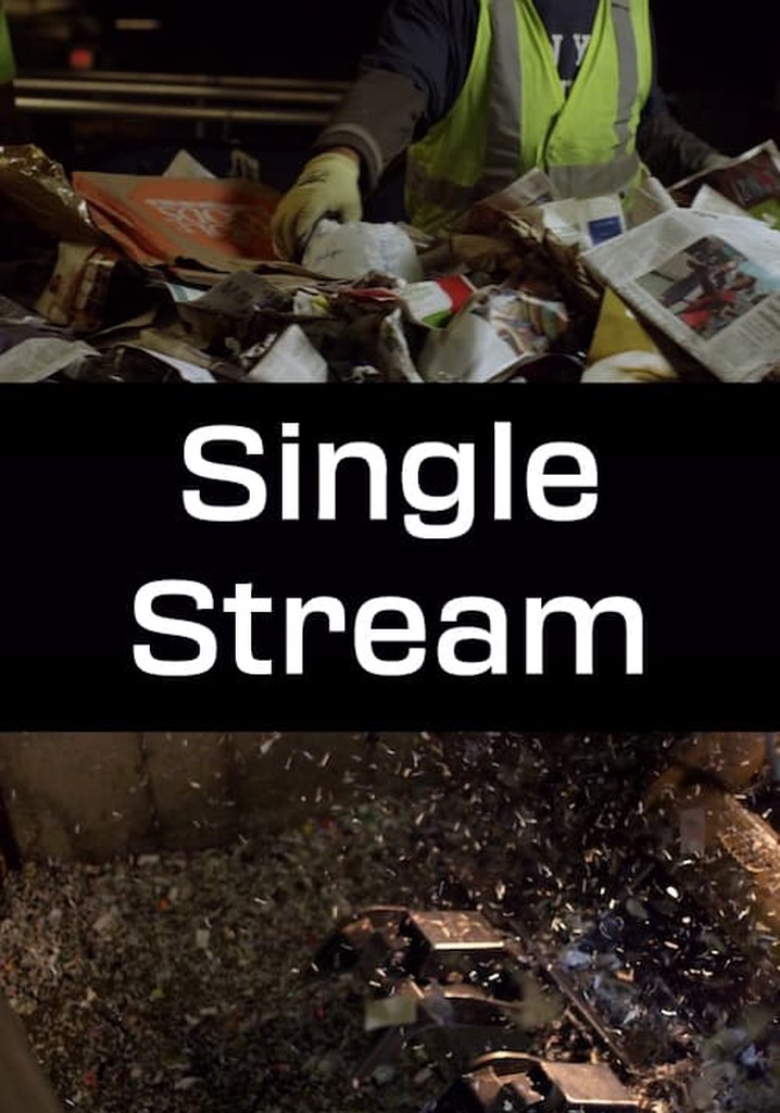 Single Stream poster