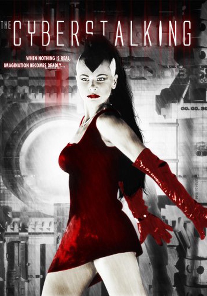 The Cyberstalking poster