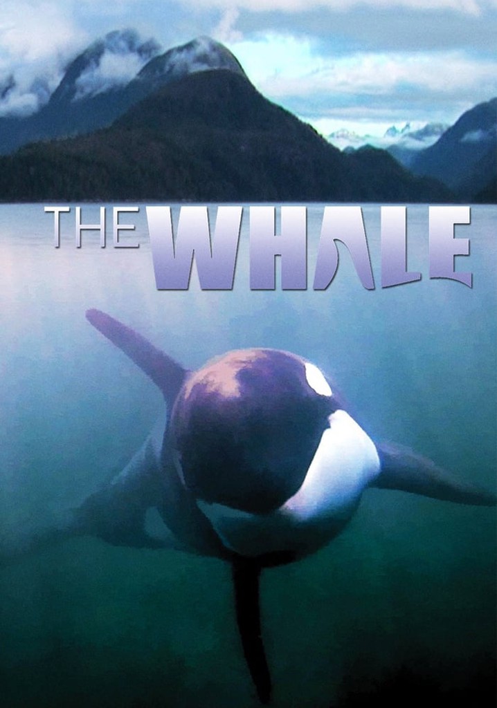 The Whale poster