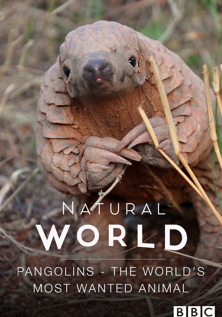 The World's Most Wanted Animal poster