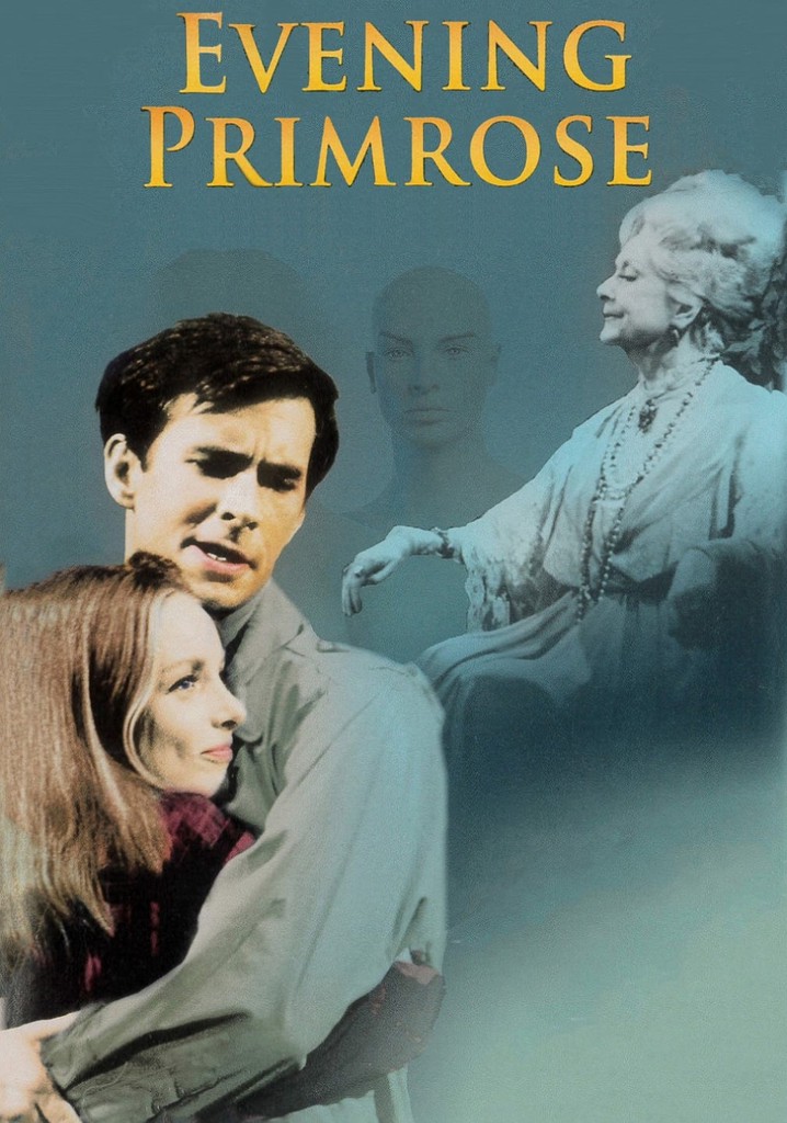 Evening Primrose poster
