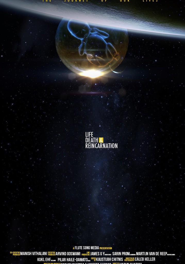 Life, Death and Reincarnation poster