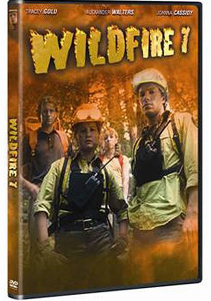 Wildfire 7: The Inferno poster