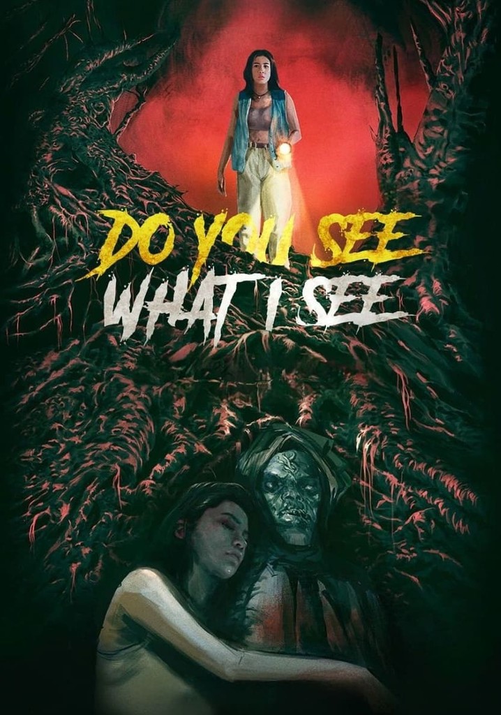Do You See What I See poster