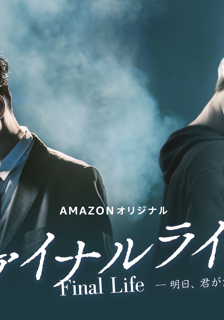 Final Life poster