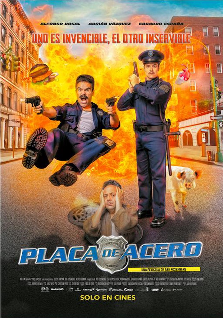 Placa de Acero poster