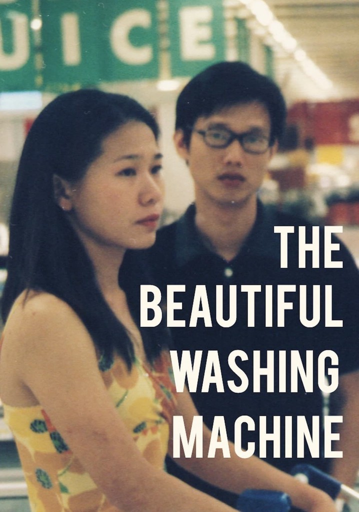 The Beautiful Washing Machine poster