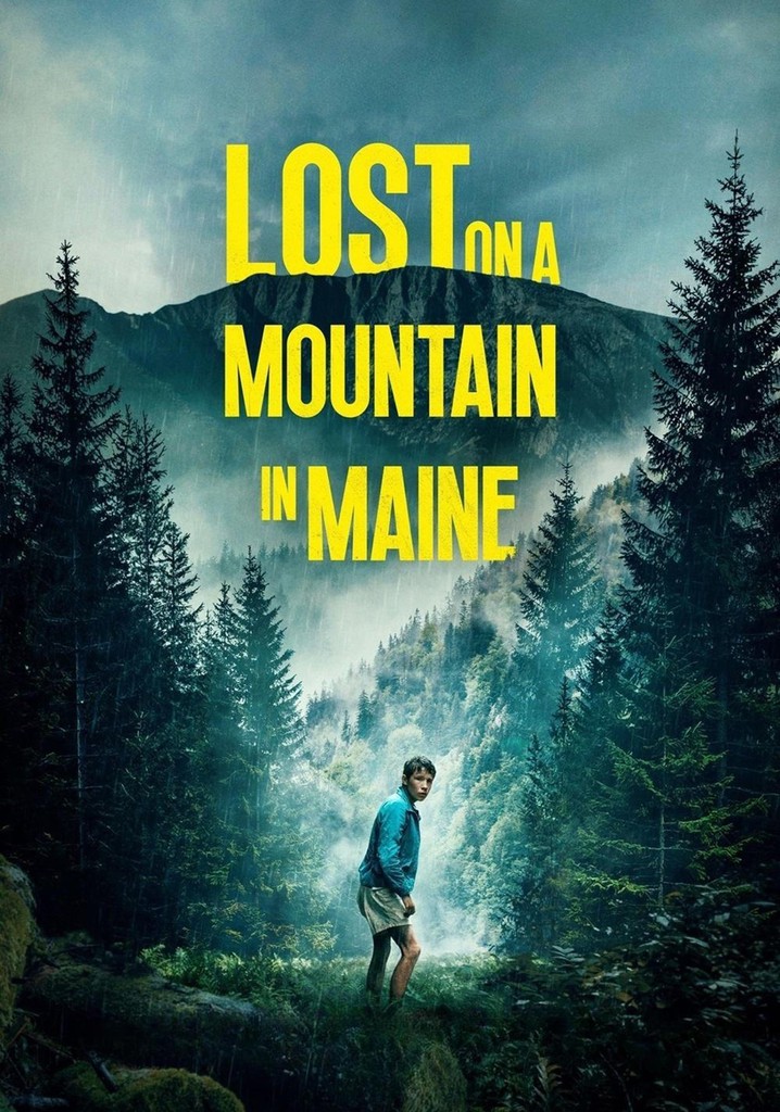 Lost on a Mountain in Maine poster