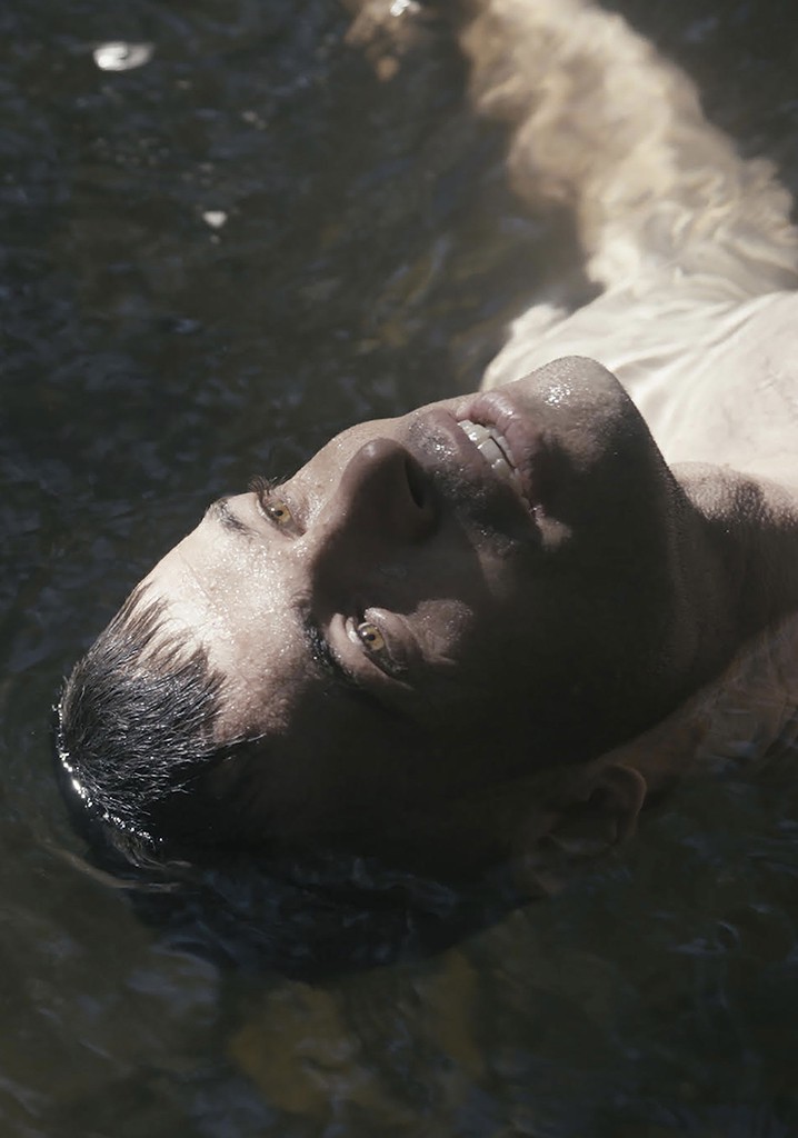 The Lake poster