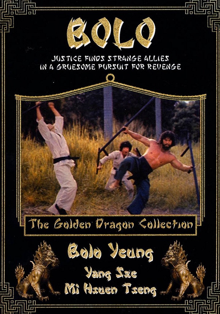 Bolo poster
