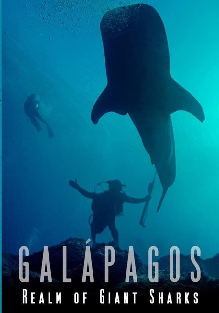 Galapagos Realm Of Giant Sharks poster