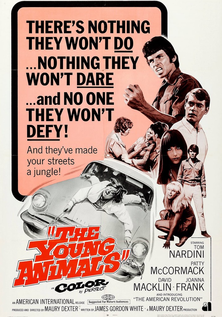 The Young Animals poster