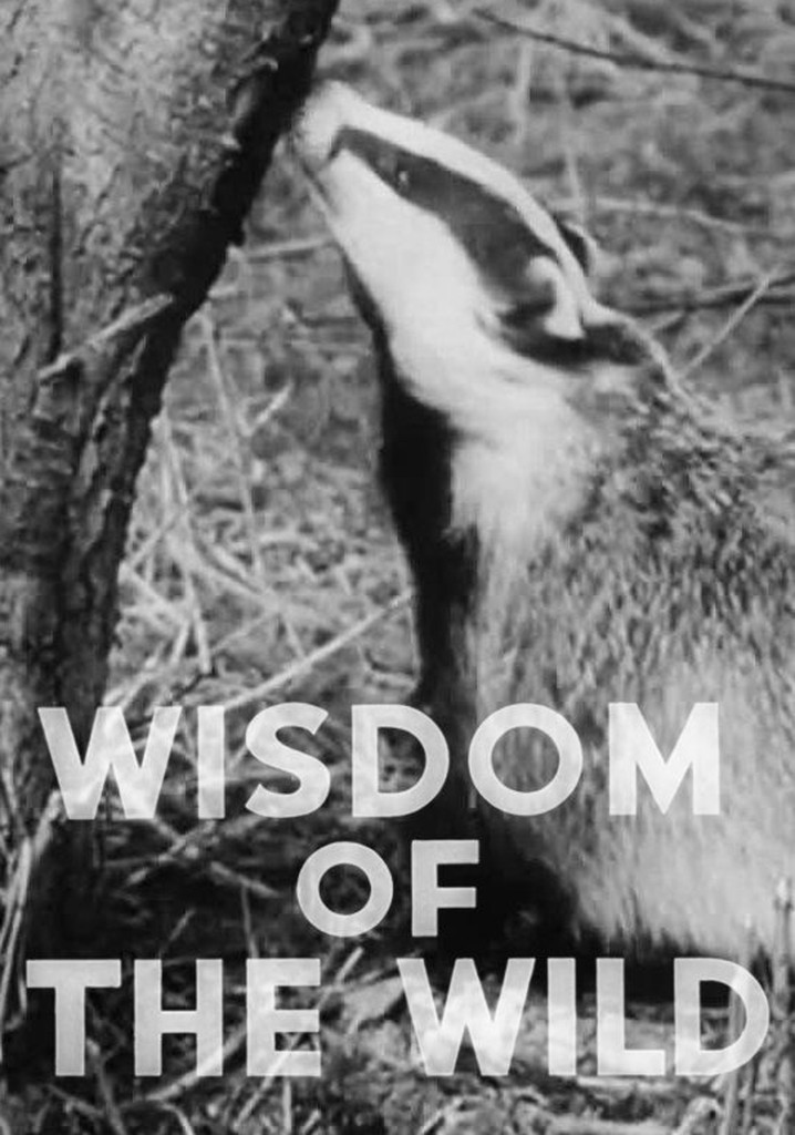 Wisdom of the Wild poster