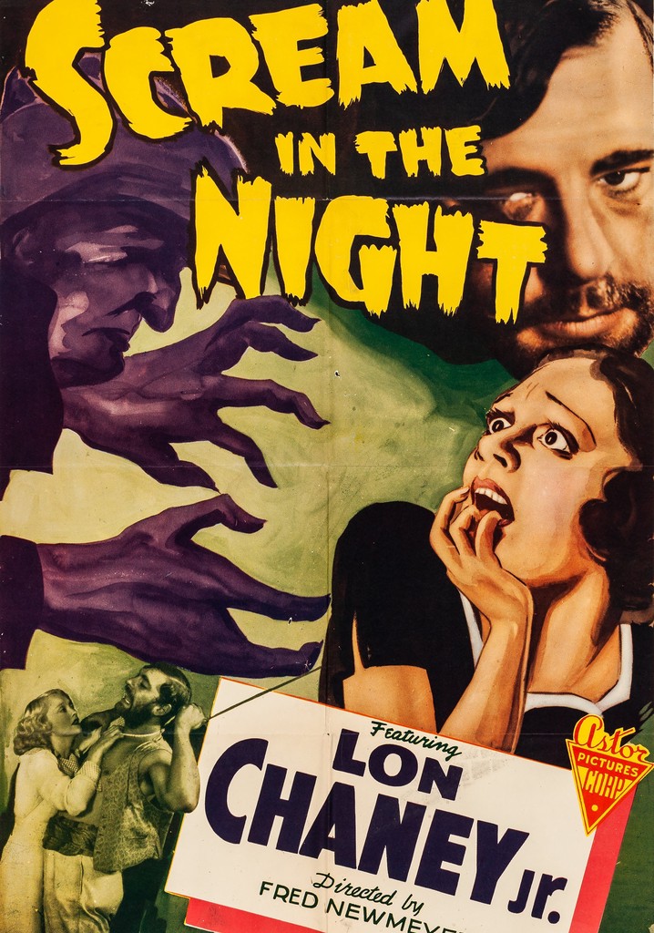 A Scream in the Night poster