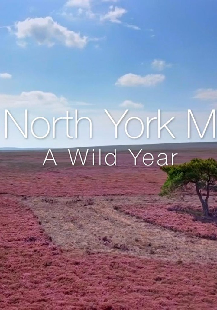 A Wild Year poster