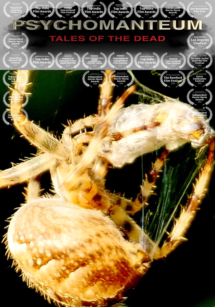 Psychomanteum poster