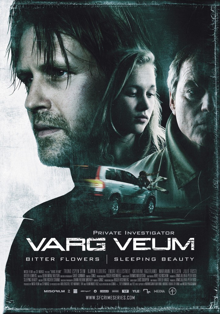 Varg Veum - Sleeping Beauty poster