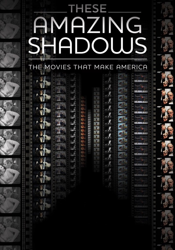 These Amazing Shadows poster