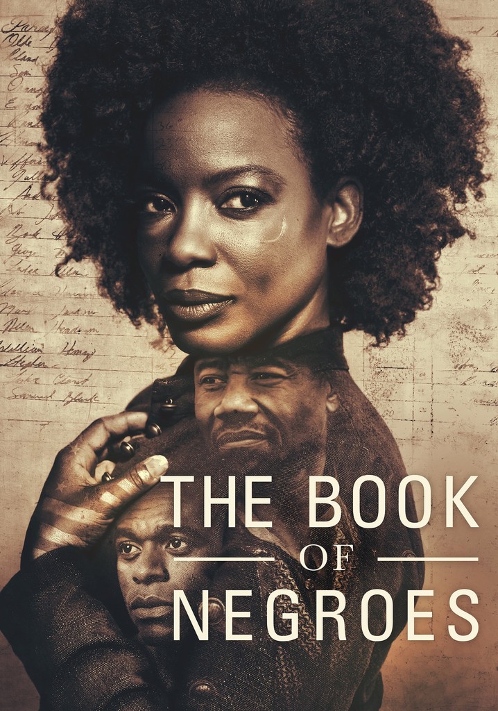 The Book of Negroes poster