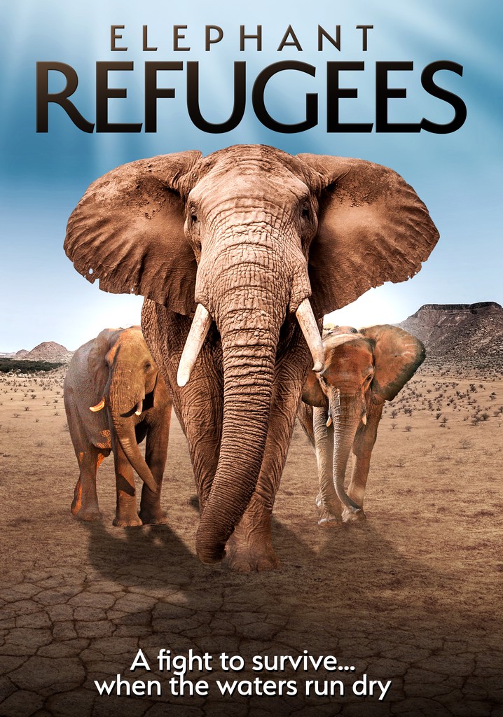 Elephant Refugees poster