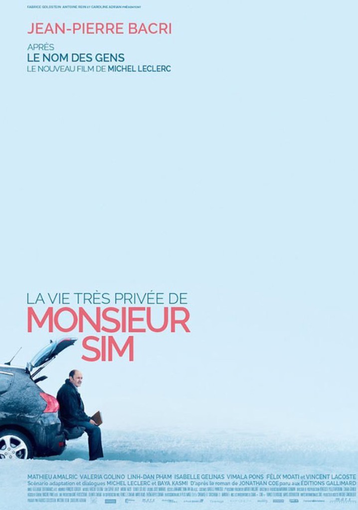 The Very Private Life of Mister Sim poster
