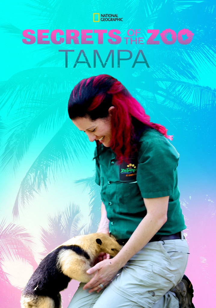 Secrets of the Zoo: Tampa poster