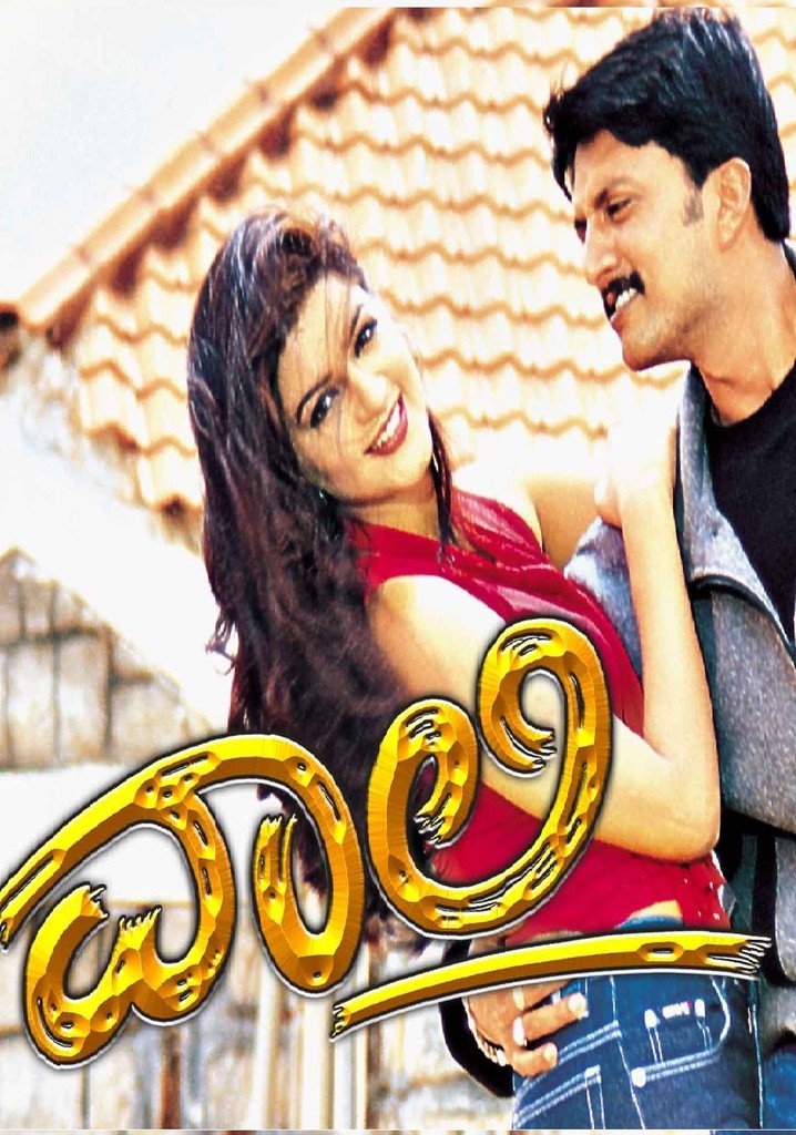 Vaali poster