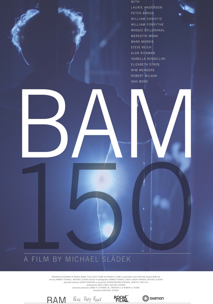 BAM150 poster