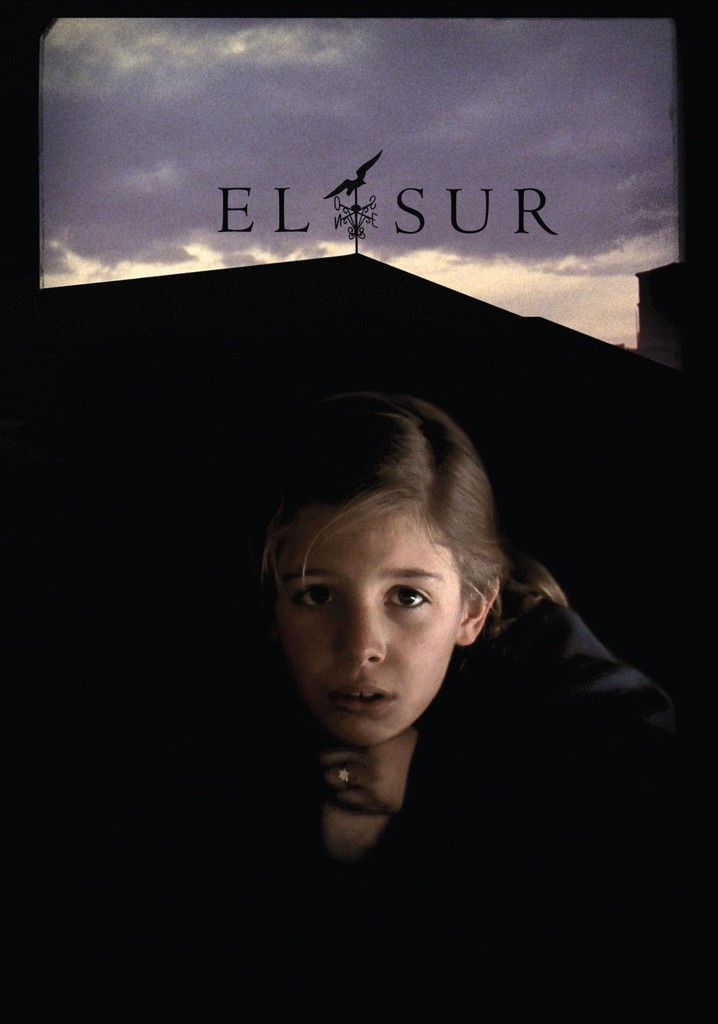 El sur poster
