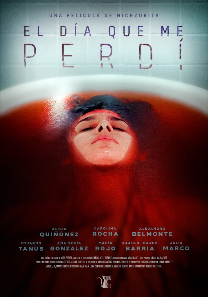 El día que me perdí poster