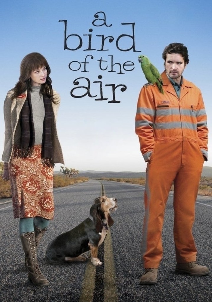 A Bird of the Air poster