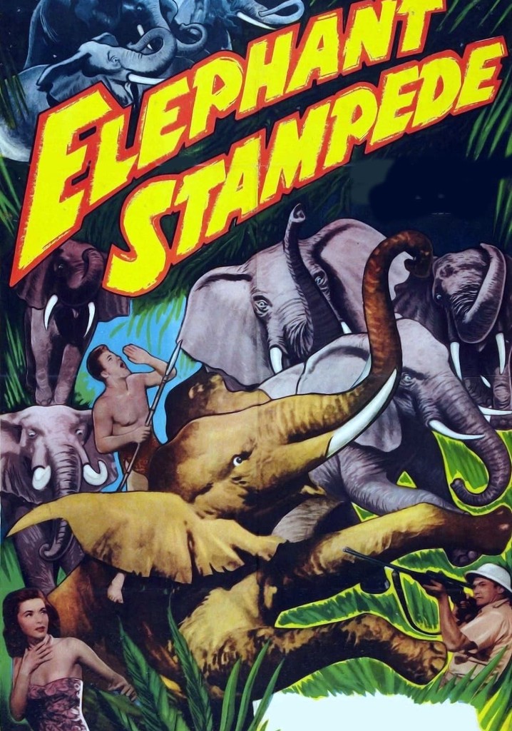Elephant Stampede poster