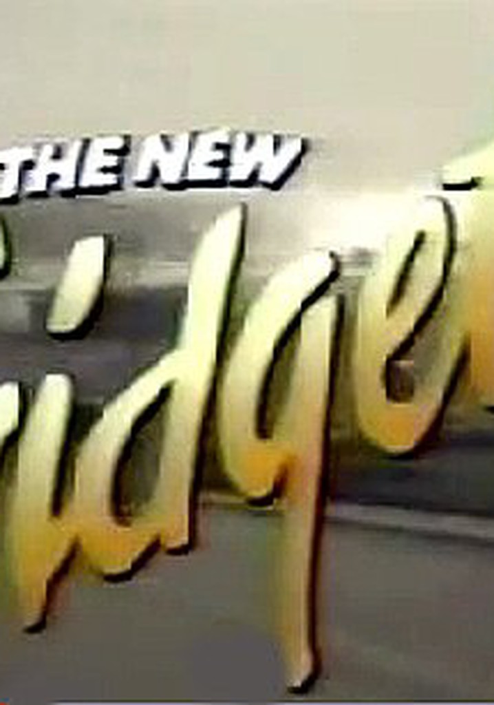 The New Gidget poster
