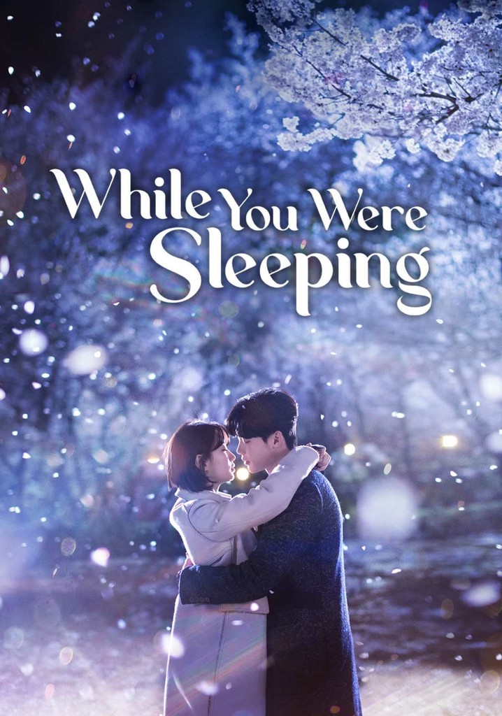While You Were Sleeping poster