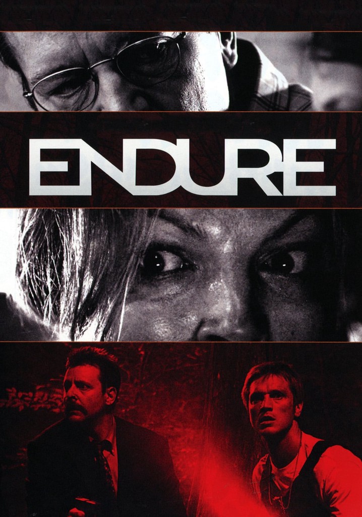 Endure poster