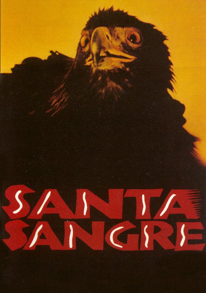 Santa Sangre poster