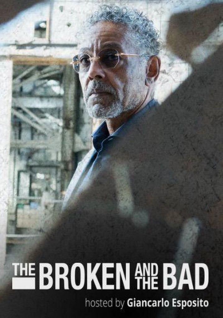 The Broken and the Bad poster