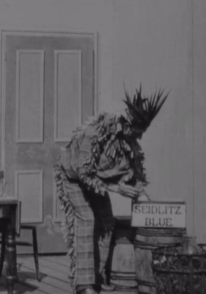 The Indian Chief and the Seidlitz Powder poster
