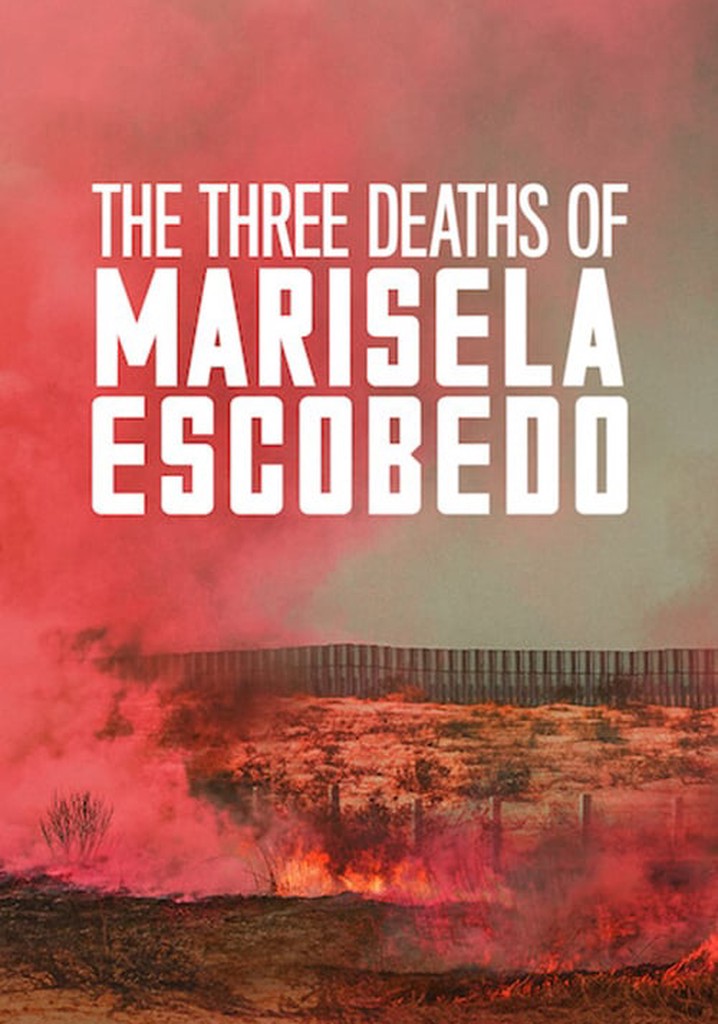 The Three Deaths of Marisela Escobedo poster
