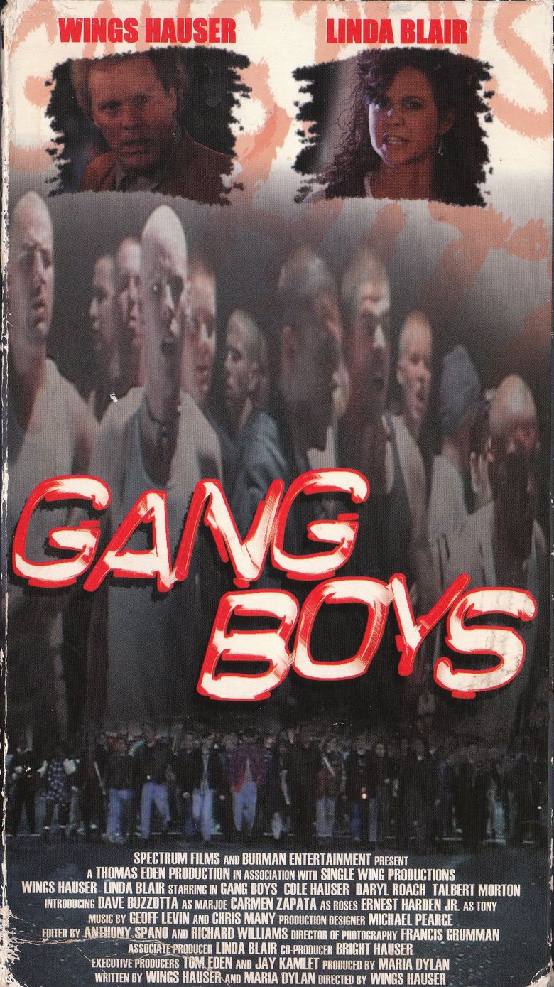 Gang Boys poster