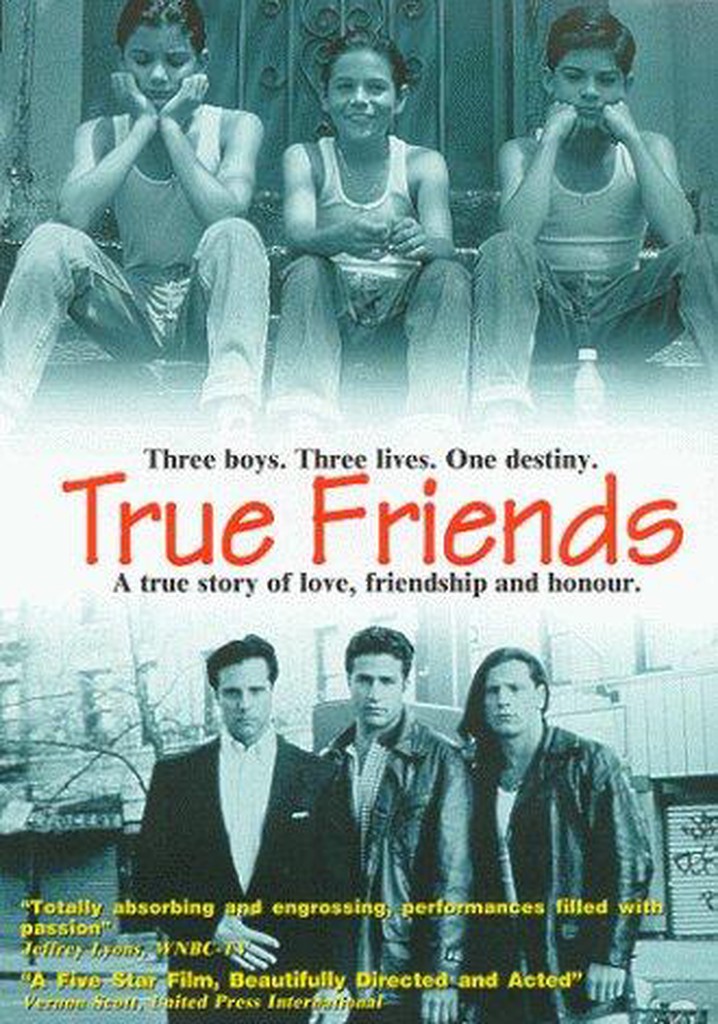 True Friends poster