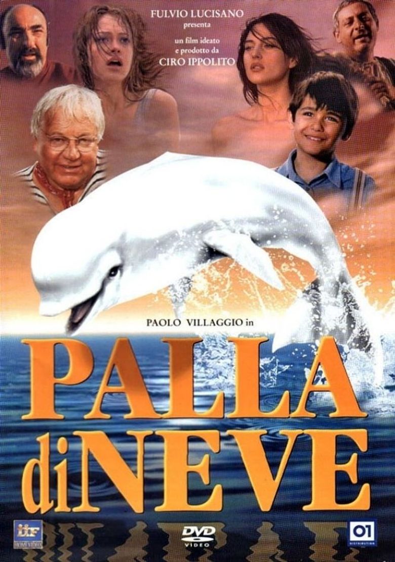 Palla di neve poster