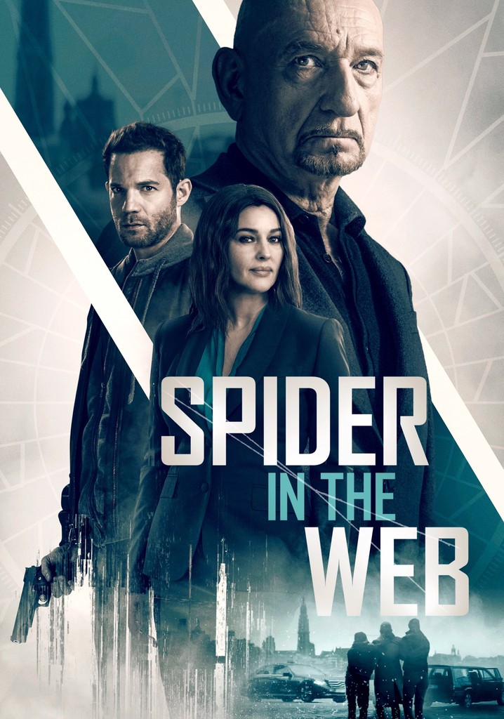 Spider in the Web poster