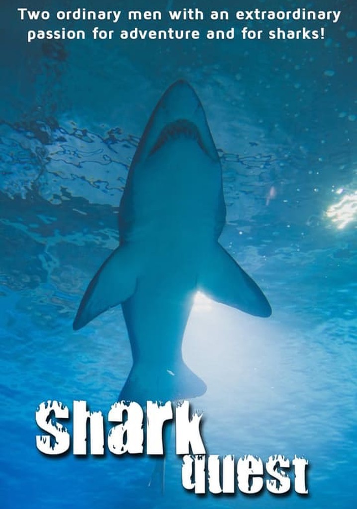 Shark Quest poster