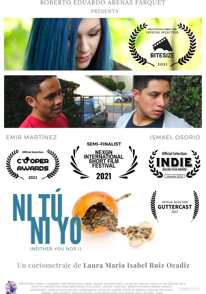 Neither You Nor I poster