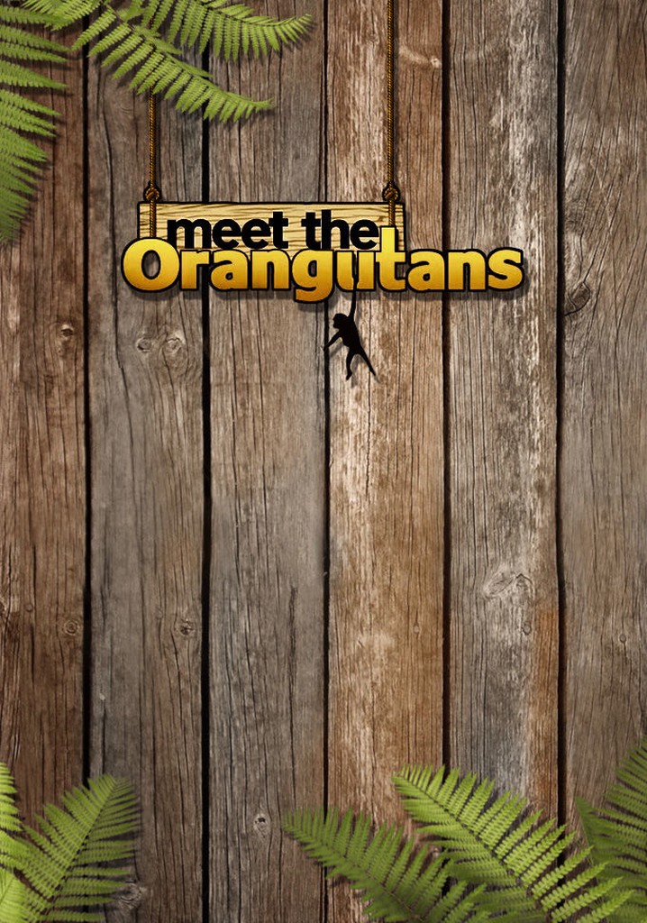 Meet the Orangutans poster